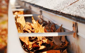 Priory Wood gutter cleaning companies